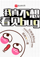 治뿴bug